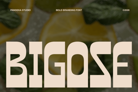 Bigose: A Bold, Friendly Display Font for Small Business Branding